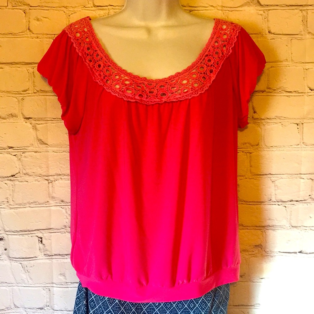 Pink Cato Top